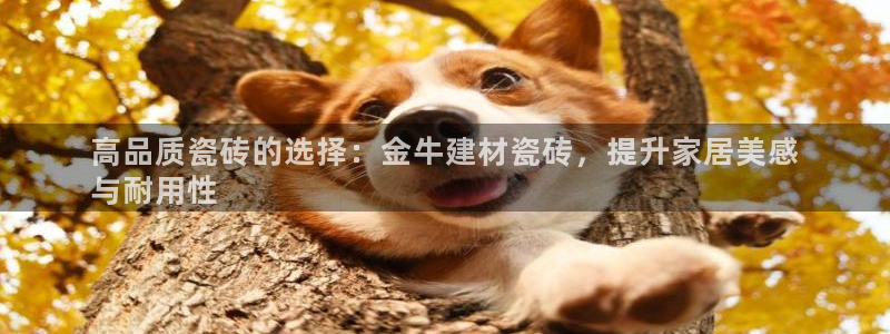 杏鑫官方平台怎么样啊可靠吗