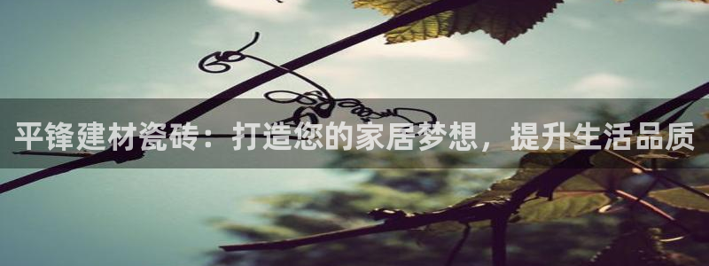 杏鑫平台代理怎么做的