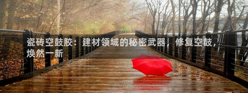 杏鑫平台代理