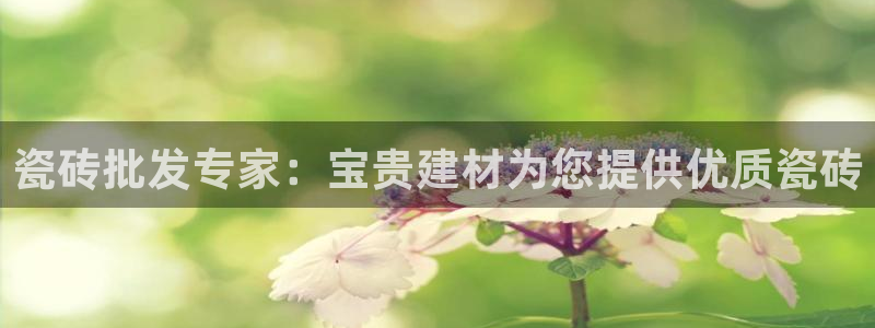 杏鑫平台招商电话