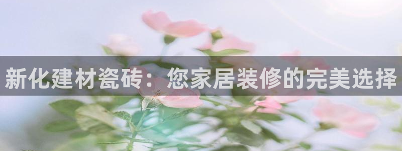 杏鑫平台平台娱乐