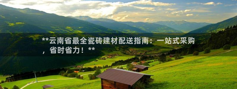 杏鑫平台代理注册流程及费用