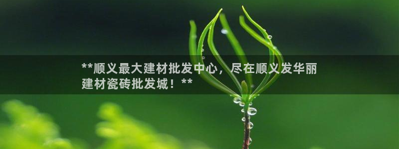 杏鑫代理注册登录