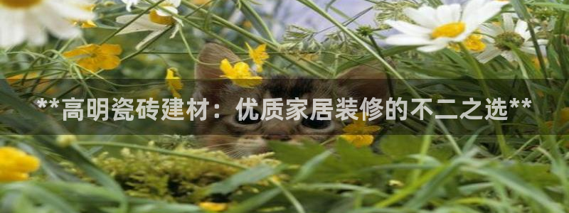 杏鑫平台代理注册流程视频