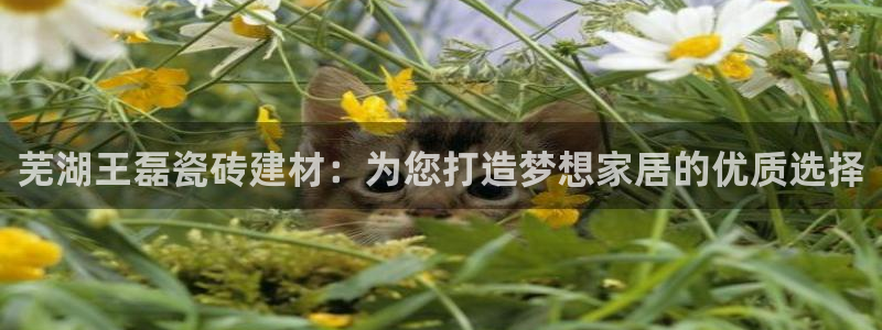 杏鑫代理注册资金多少