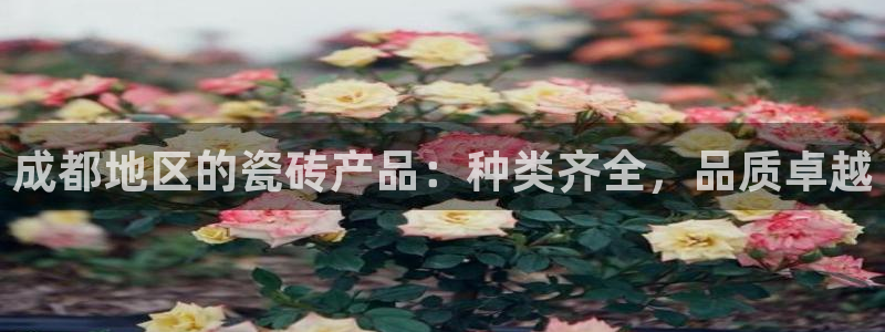 杏鑫平台代理注册登录不了怎么办呀苹果