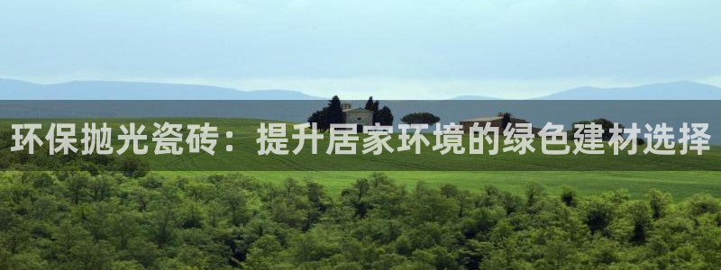 杏鑫代理注册资金多少