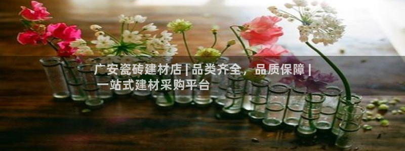 杏鑫平台平台