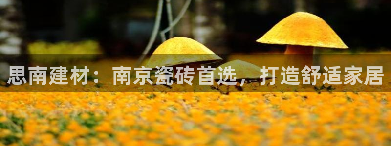 杏鑫平台是黑平台吗