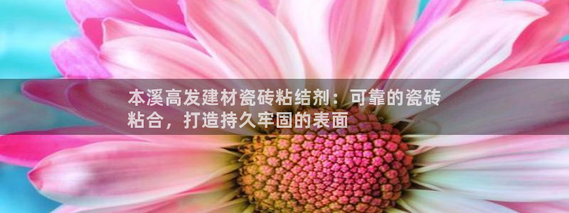 杏鑫平台招商怎么样