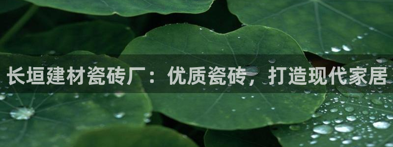 杏鑫娱乐是真的吗