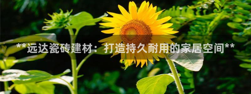 杏鑫官网最新信息