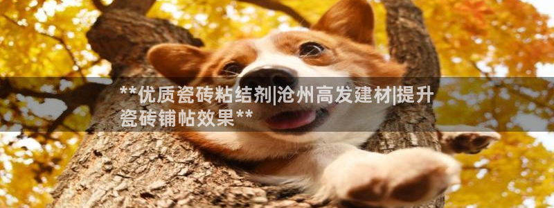 杏鑫有亏损返点吗
