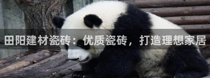 杏鑫平台靠谱吗