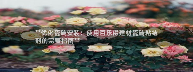 杏鑫平台待遇