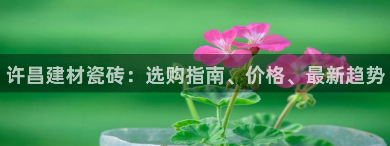 杏鑫平台正规吗可信吗