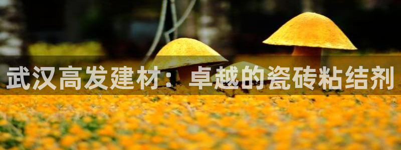 杏鑫娱乐平台测速怎么样