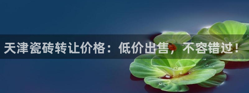 杏鑫代理注册资金多少