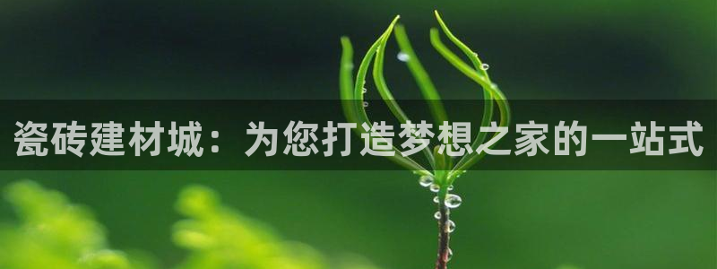 杏鑫平台怎么样