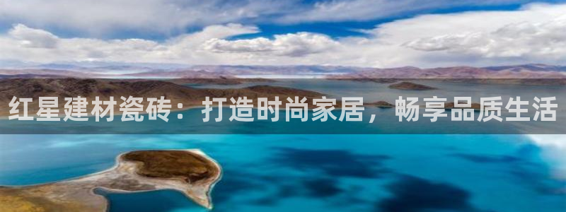 杏鑫官网注册账号是什么意思