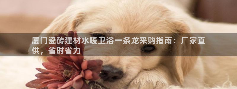 杏鑫平台招商