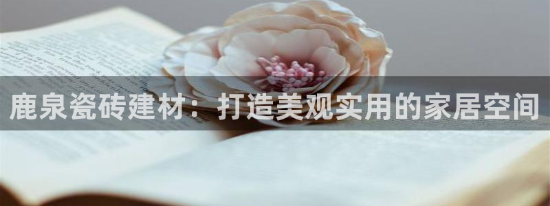 杏鑫平台注册网址查询