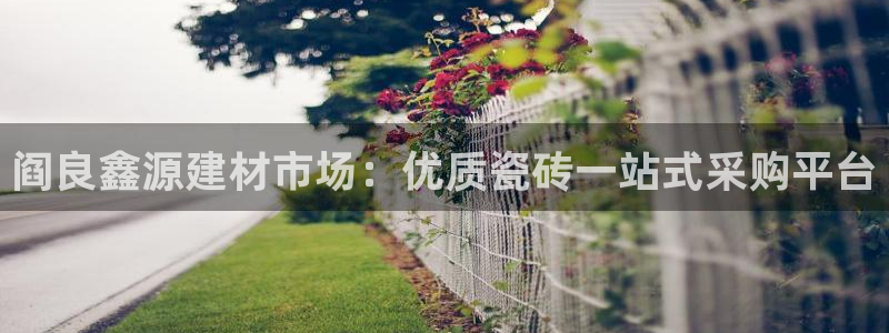 杏鑫官网注册账号怎么注册不了