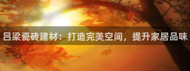 杏鑫平台代理怎么做赚钱