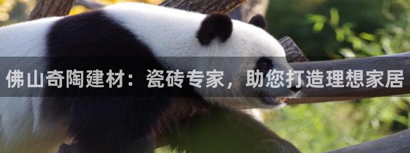 杏鑫平台在线注册怎么注册