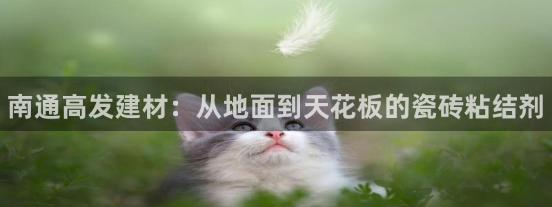 杏鑫平台招商电话号码