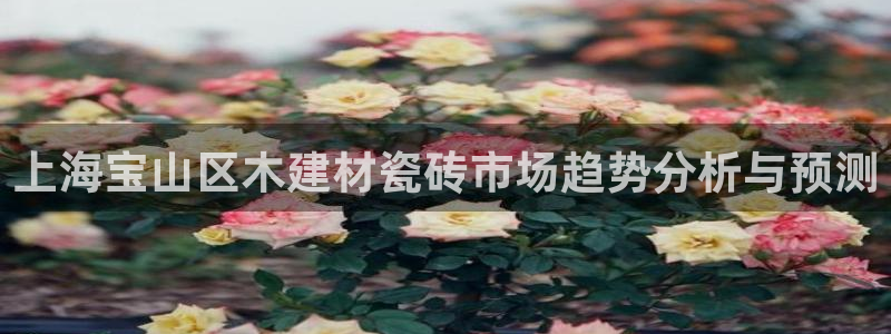 杏鑫注册平台官方网站入口