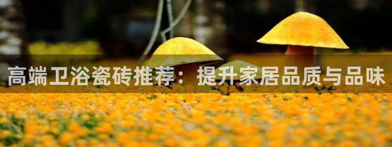 杏鑫平台正规吗可信吗