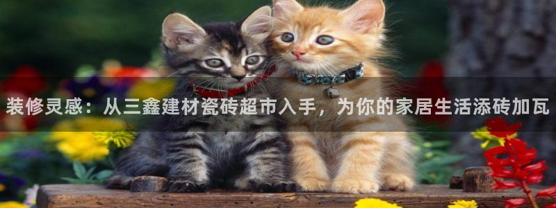 杏鑫娱乐官方网站客户端下载