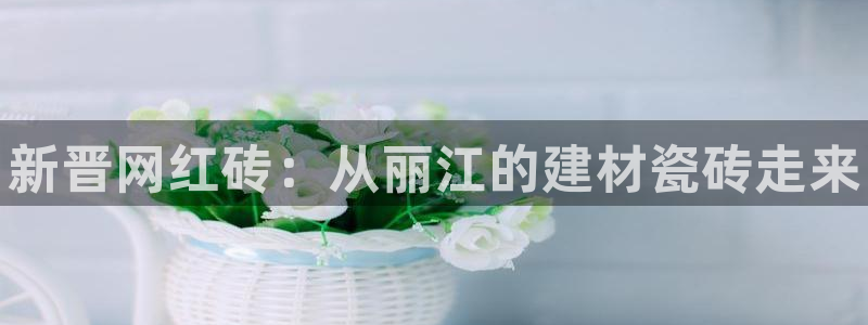 杏鑫官方平台怎么样啊可靠吗