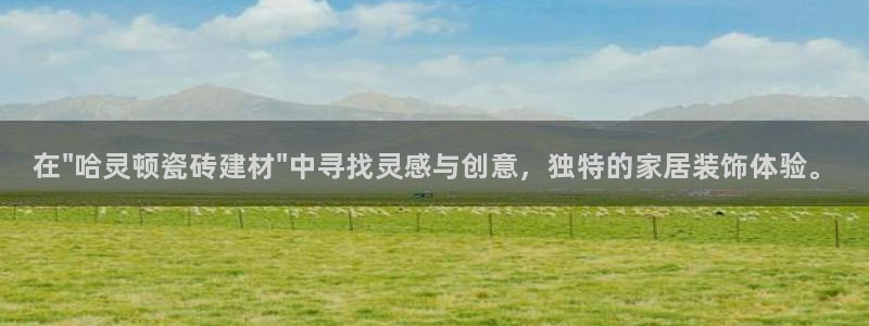 杏鑫平台登录地址在哪