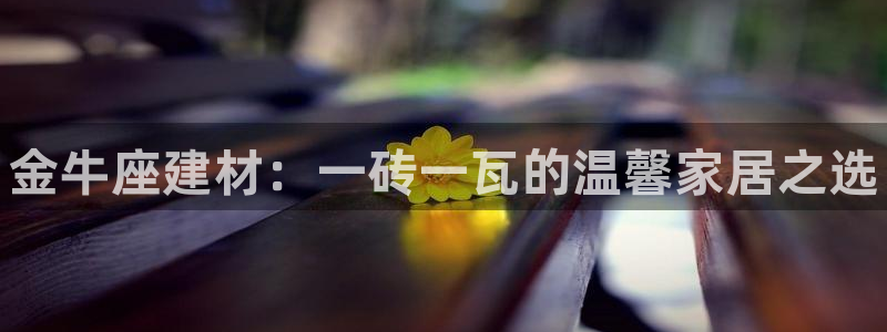 杏鑫平台注册网址查询