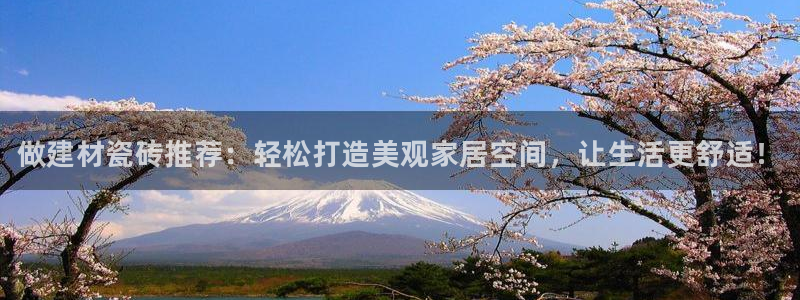 杏鑫平台代理注册多少钱一年