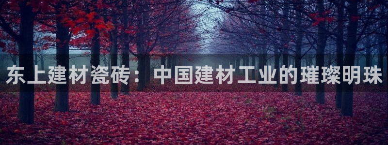 杏鑫平台代理怎么做的