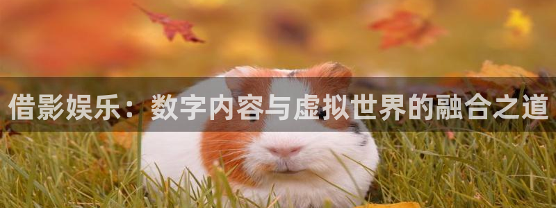 在线观看午夜宅男视频
