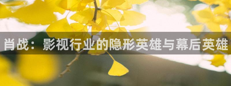 宅男视频网页版