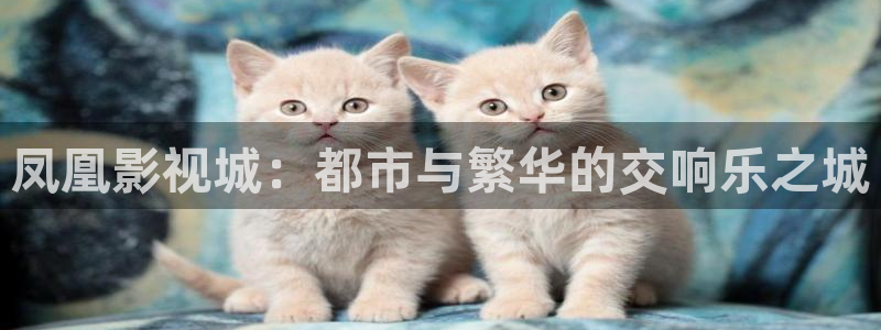 宅男视频免费在线观看视频