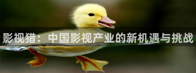 宅宅男视频