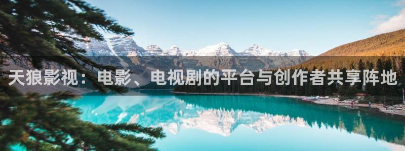 宅男视频视频在线观看