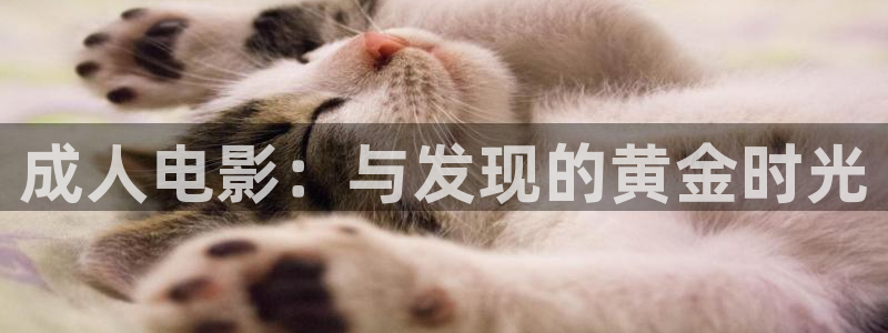宅男视频免费在线观看