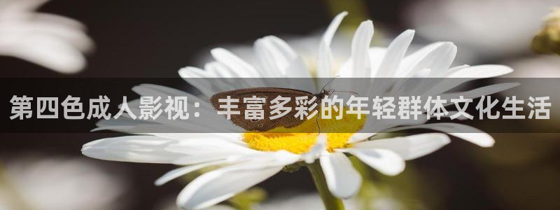 宅男视频网页版
